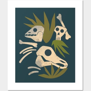 Fossils Posters and Art